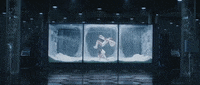 bad blood GIF by Taylor Swift
