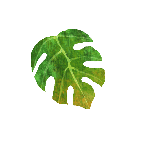 Plant Leaf Sticker