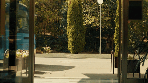 Зокипоки GIF by Zoki Poki
