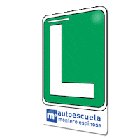 Car Aprobado Sticker by Montero Espinosa