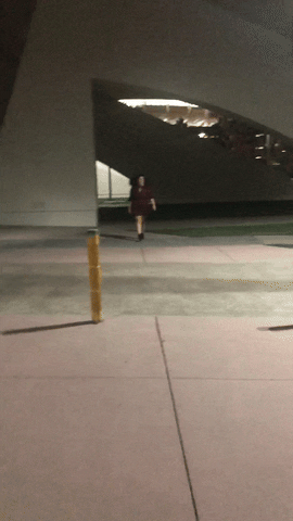 San Diego Twitch GIF