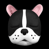 Dogs Sleeping GIF by pogipets
