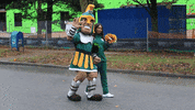 Nsu GIF by Norfolk State