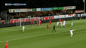 GIF by FOX Sports