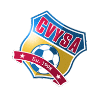 Blast Catawba Sticker by CVYSA