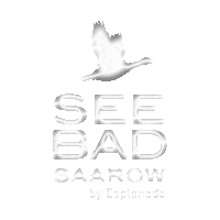 Nikkei Nikkeicuisine Sticker by Hotel Esplanade Resort & Spa