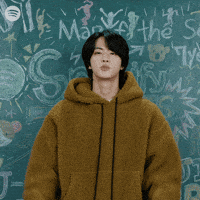 Jin Actcute GIF by Spotify