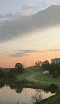 Bg Veo GIF by Aleksey Efremov