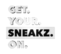 Leeuwarden Sticker by Sneakers Fris