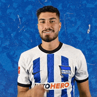Bundesliga Ball GIF by Hertha BSC