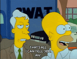 Season 1 GIF by The Simpsons