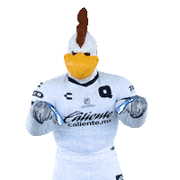 Game Day Today Sticker by Club Querétaro