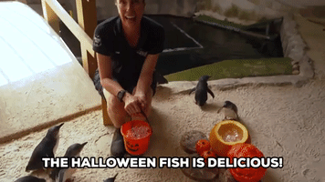 The Halloween Fish Is Delicious