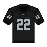 Las Vegas Raiders Nfl Sticker by Wynn Las Vegas