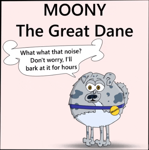 A-Headful great dane moony average dane GIF