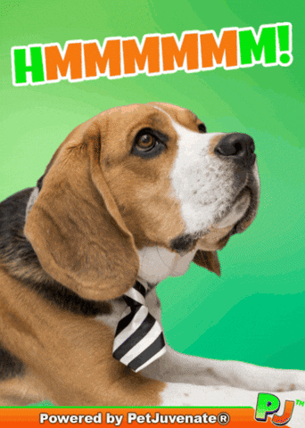 PetJuvenate giphyupload GIF