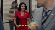 selina meyer amy brookheimer GIF by Veep HBO