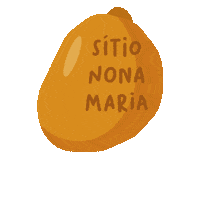 Orange Fruit Sticker by Vitrines Digitais