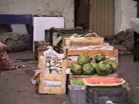 Vintage Vhs GIF by jorgemariozuleta