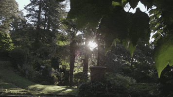 nowness nowness jardin great gardens GIF