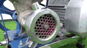 ExperimenMeatGrinder reaction dog meat experiment GIF