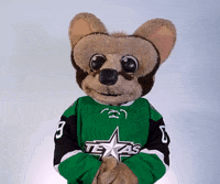 Ahl Ok GIF by Texas Stars Hockey