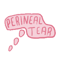 chelseamethod pregnancy birth thought bubble postpartum Sticker