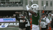 College Football GIF by Ohio Bobcats