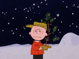 charlie brown GIF by Peanuts