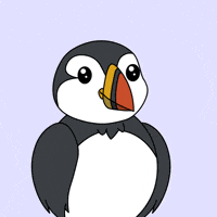 puffinsdotfun happy meme smile kawaii GIF