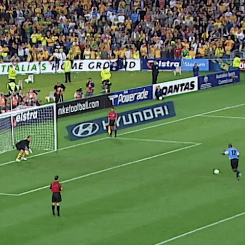 Save World Cup GIF by Football Australia