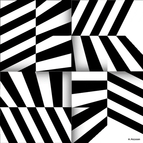 b&w art GIF by Michel Poisson