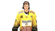 Hockey Caps Sticker by Vienna Capitals