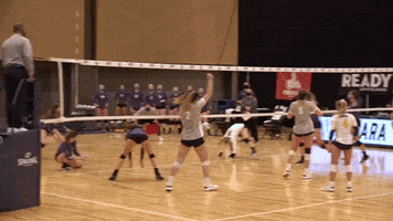 Excited Celebration GIF by Canisius Athletics