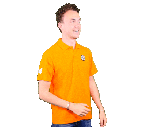 Nederlands Elftal Football Sticker by Bracket Official