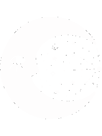 Star Sticker by Wiezewasjes