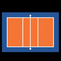 Volei Galego GIF by Federación Galega de Voleibol