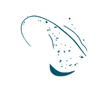 StingrayDivers fish colombia diving raya Sticker