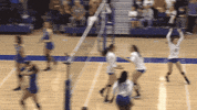 affalcons excited jumping air force falcons usafa GIF