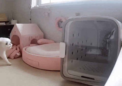 cuteanimalland giphyupload GIF