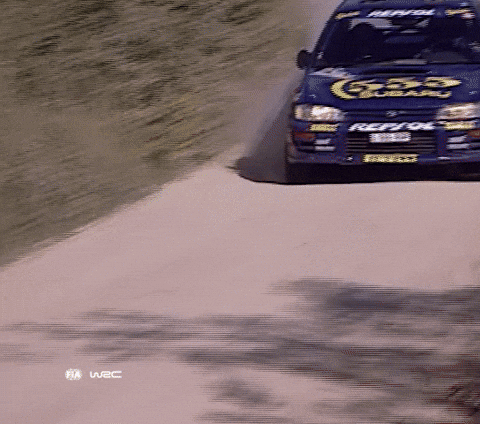 Too Fast Crash GIF by FIA World Rally Championship