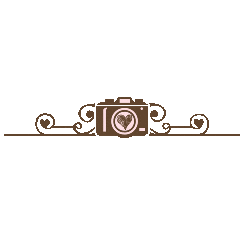 Camera Fotografia Sticker by amofotolivro