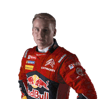 dust citroen Sticker by FIA World Rally Championship