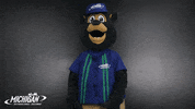 MISpeedway clap clapping brooks mis GIF