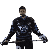 Hockeysurglace Sticker by Corsaires de Nantes