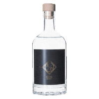 apgin gin slovenia slovenija ap Sticker