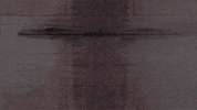 holy cow is this scientology? GIF by Digg
