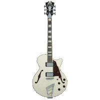 Guitar Dangelico Sticker by Tarara