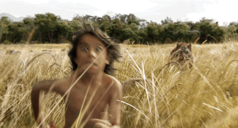 Super Bowl Reaction GIF by Disney's The Jungle Book