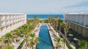 Costa Mujeres GIF by PalladiumHotelGroup